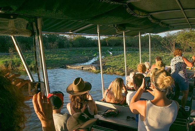 A group of people are taking pictures of a crocodile on a boat.