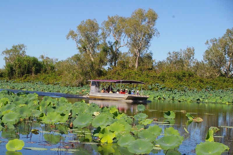 A boat is floating on a lake surrounded by lily pads.