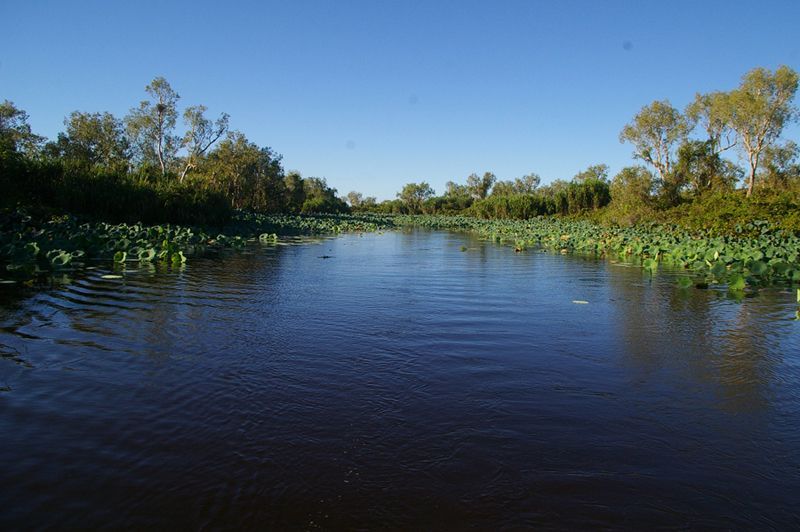 A river with trees on the shore and a blue sky in the background