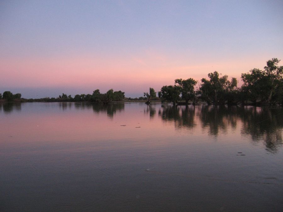 A sunset over a lake with trees in the water