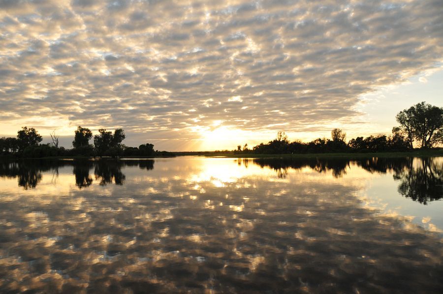 The sun is setting over a lake with trees in the foreground.