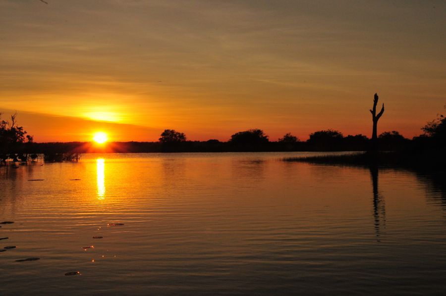 The sun is setting over a lake with a tree in the foreground.