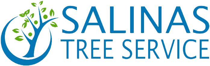 Salinas Tree Service logo with blue text and a stylized green-and-blue tree icon