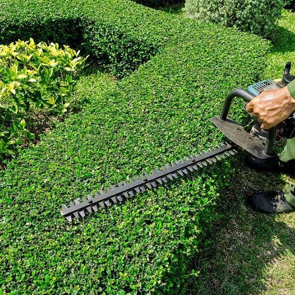 Trimming Garden Hedge — Grounds Maintenance in Bundaberg, QLD