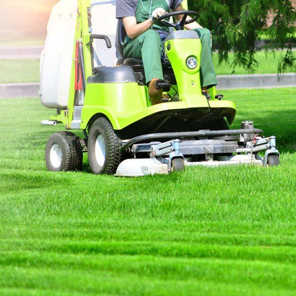 Gardener Mowing Garden With Ride-On Lawn Mower — Grounds Maintenance in Bundaberg, QLD