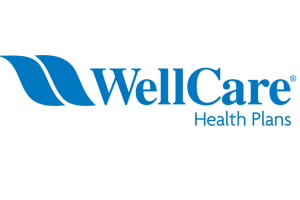 Well Care Health Care Logo