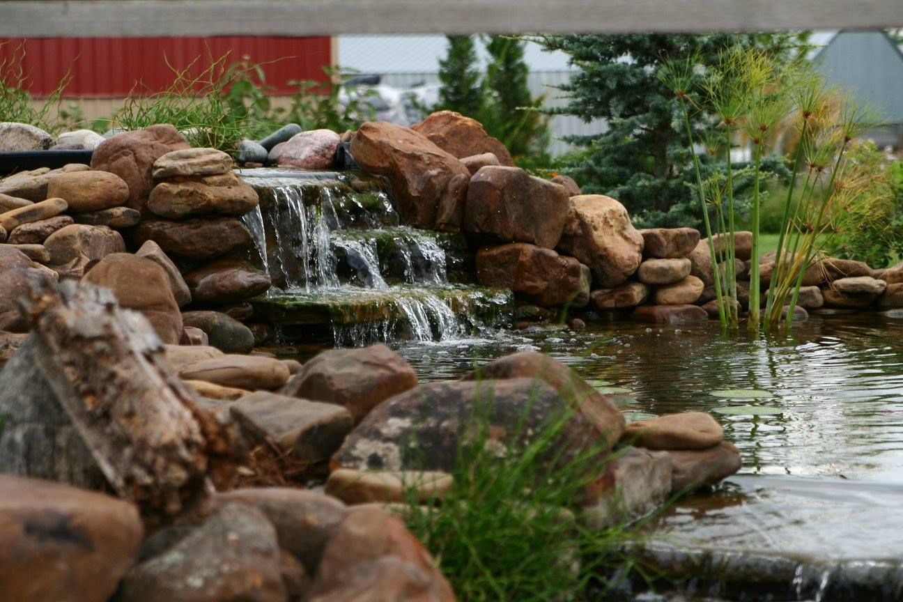 landscape design in pratt, ks with younie lawnscapes