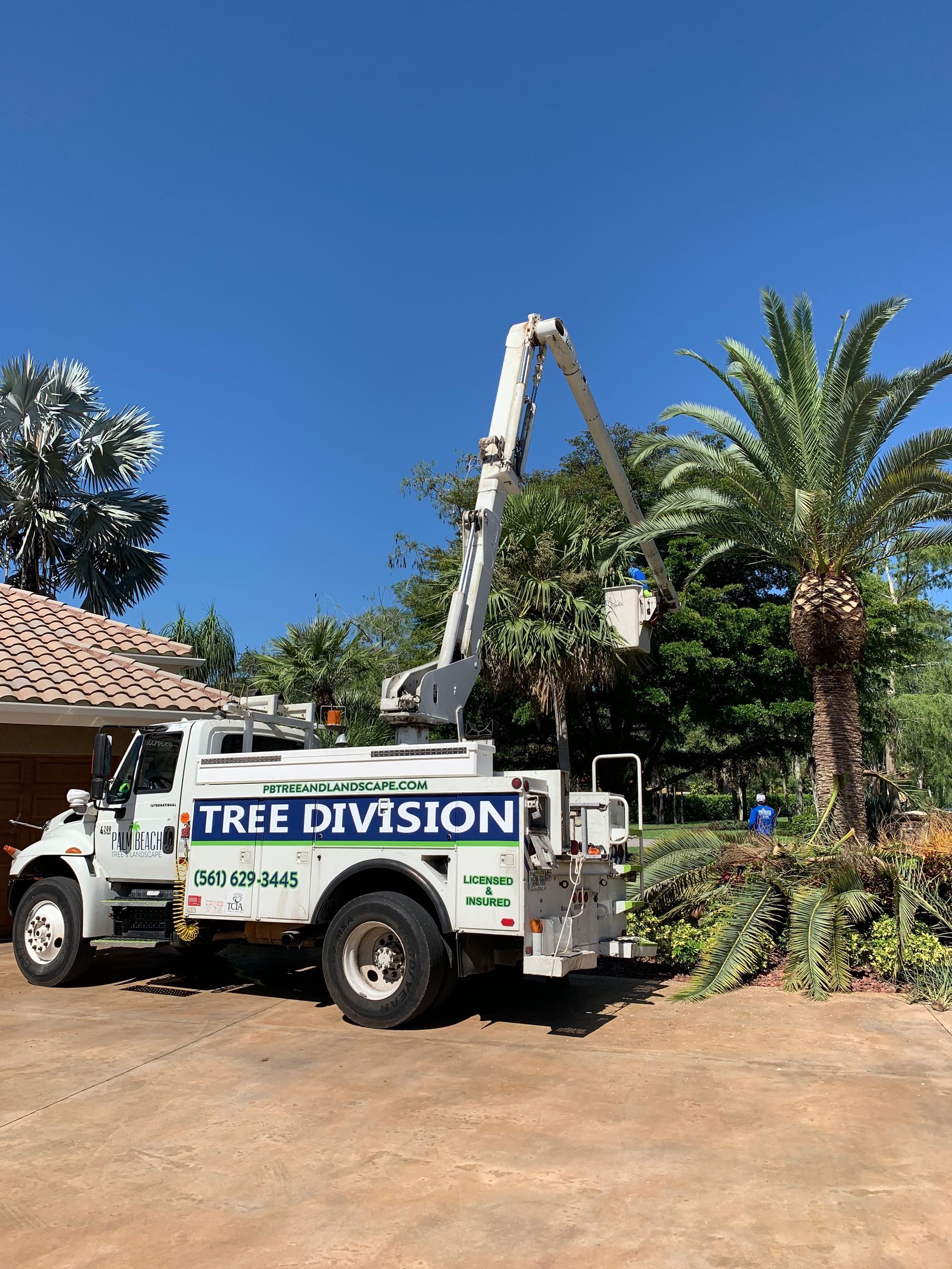 A tree division truck is parked in front of a house.