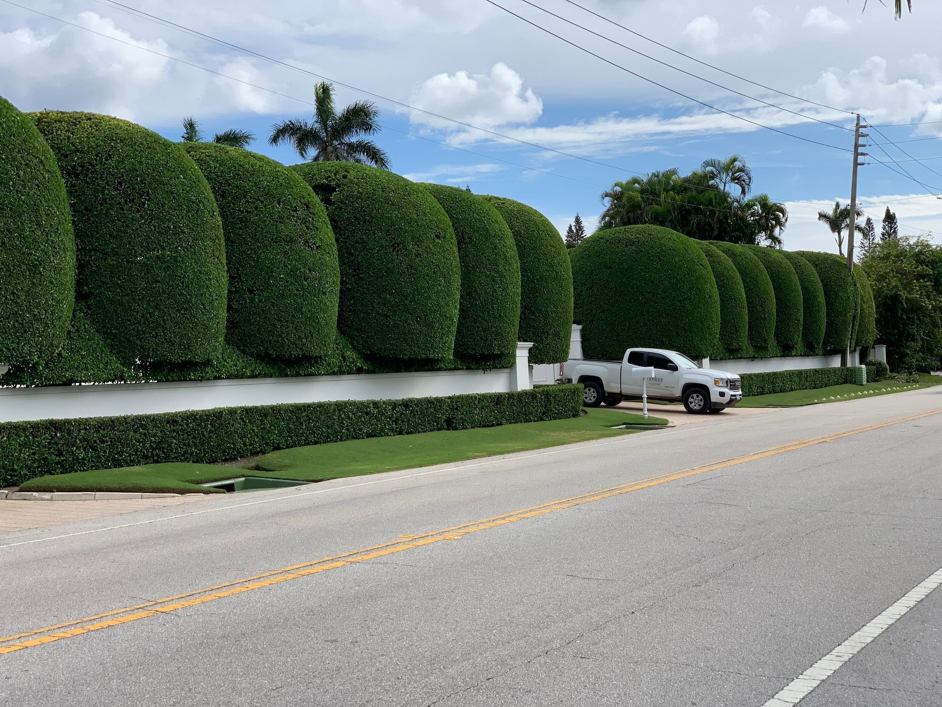A white truck is parked on the side of the road next to a hedge.