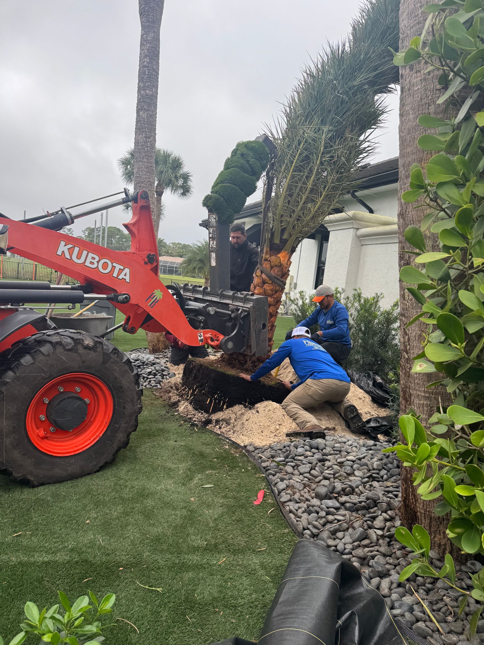 A tractor is digging a hole in the ground to plant a tree.