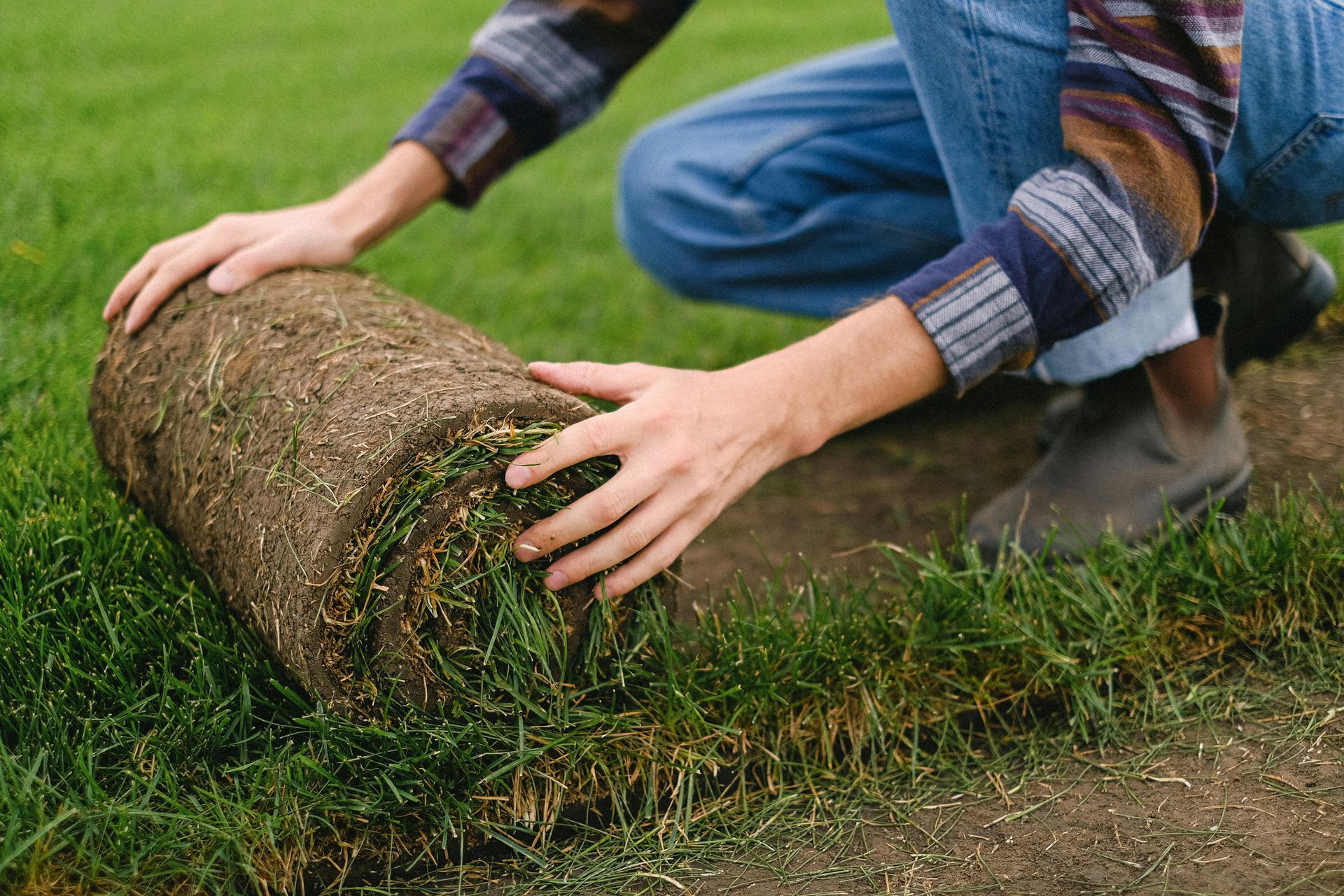 A person is rolling a roll of grass on the ground.