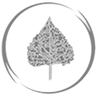 Aspen tree silhouette inside a gray circle.