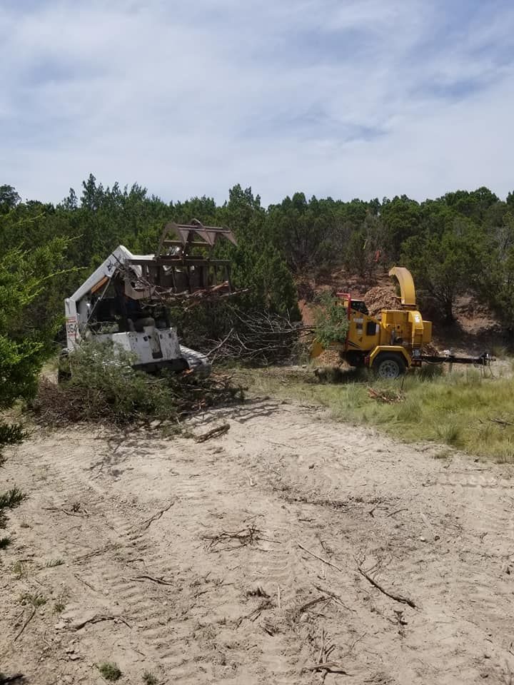 A yellow and white tractor is cutting trees in a field.