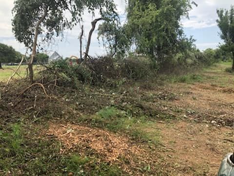 A person is standing in a dirt field next to a tree.
