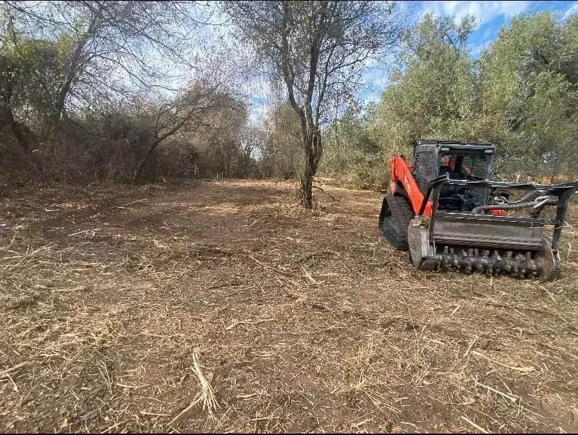 A man is driving a tractor through a field of dry grass.