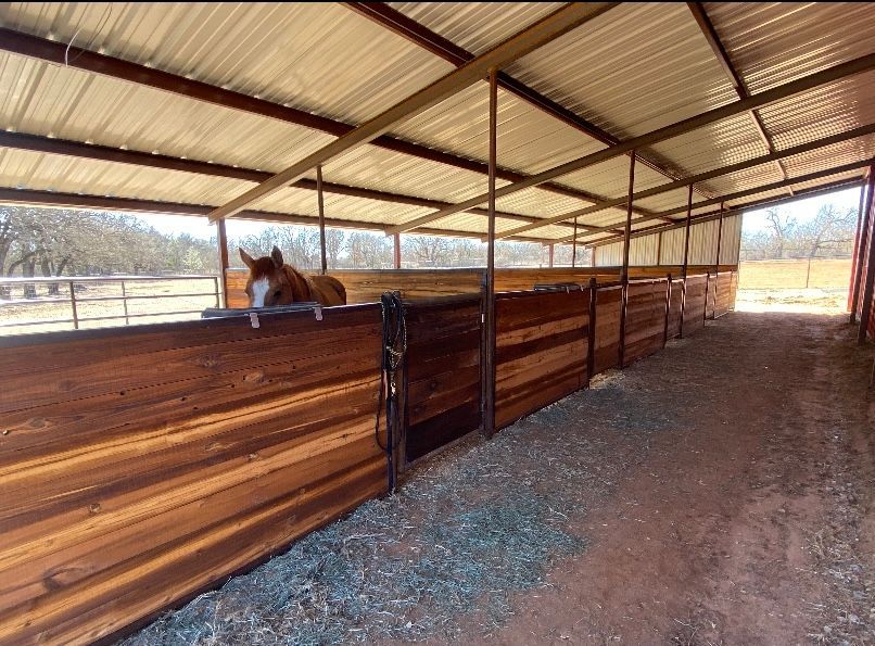 A horse is standing in a wooden stable with a metal roof.