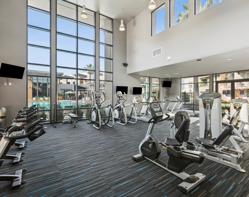 Modern gym with cardio machines, high windows, and a carpeted floor