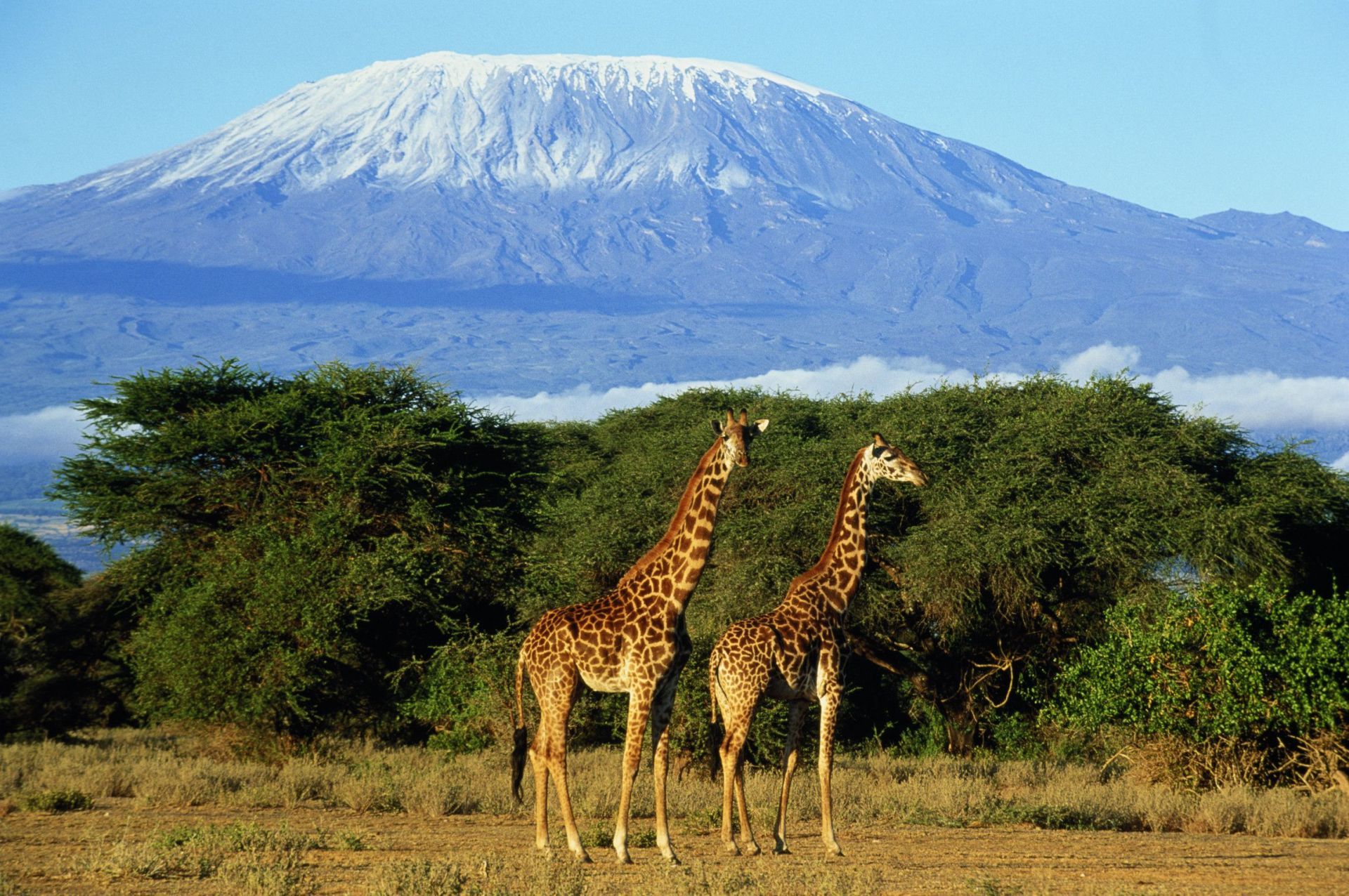 East Africa Incentive Travel Tanzania
