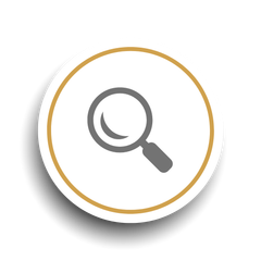 Search  Icon