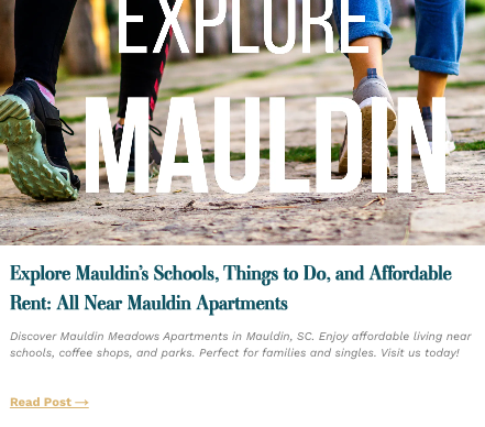 mauldin school