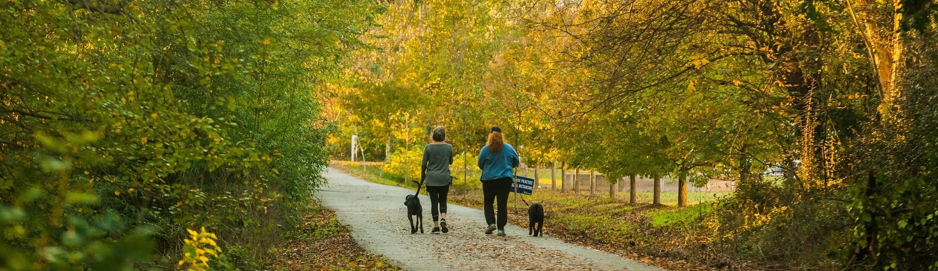 Health and Wellness: Active Living in Spartanburg