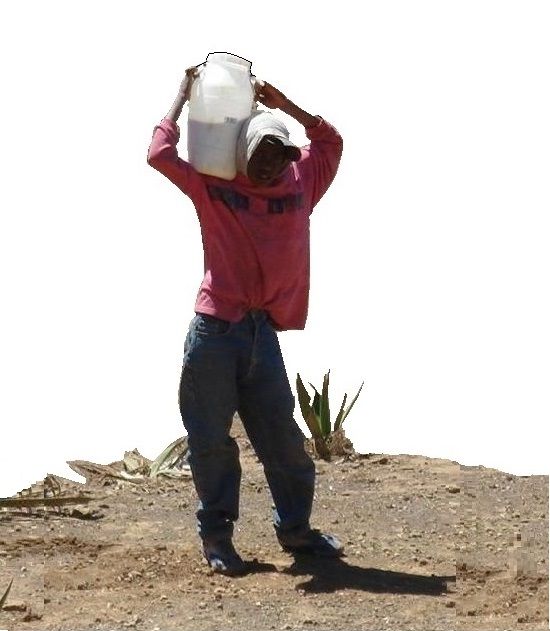 Macchine automatiche per la trasformazione del latte