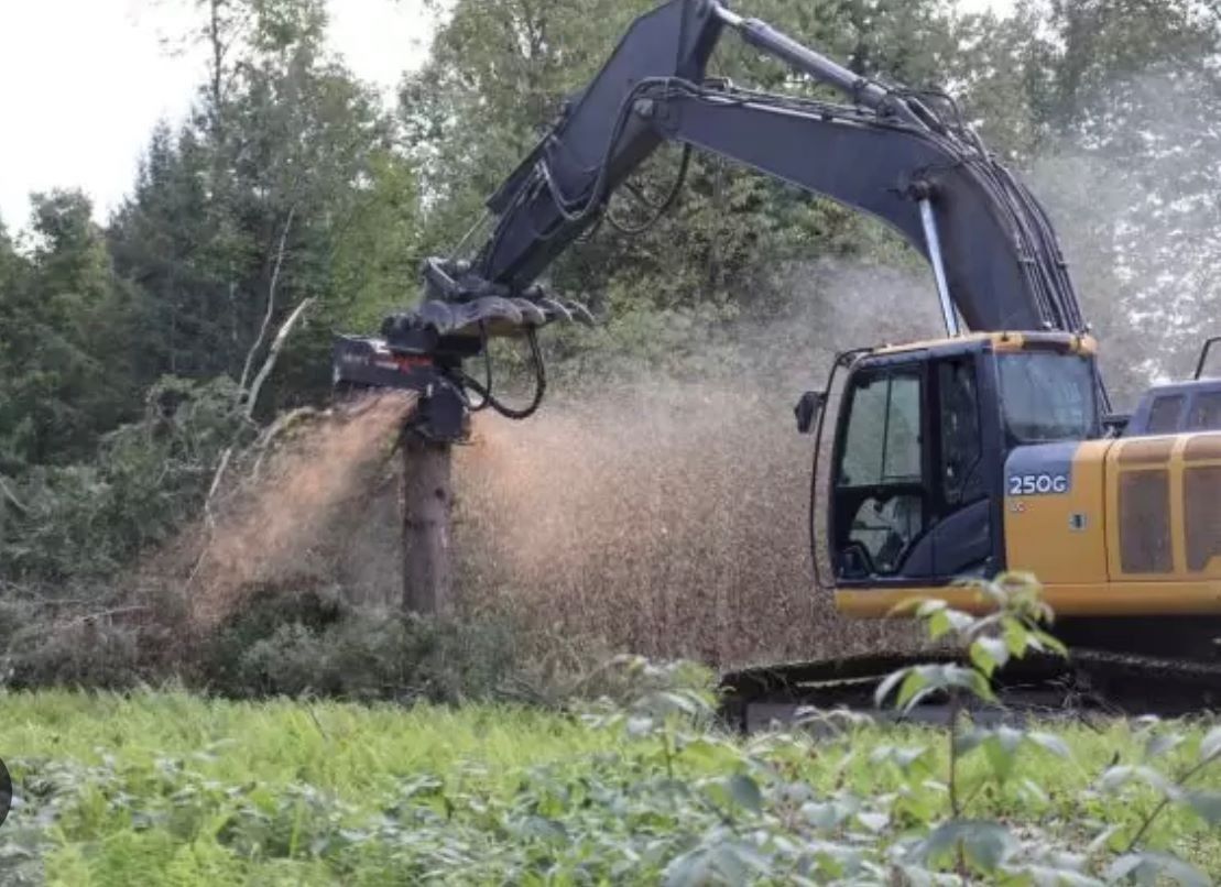 A yellow excavator mulching a tree in a grassy area, creating a cloud of wood chips.
