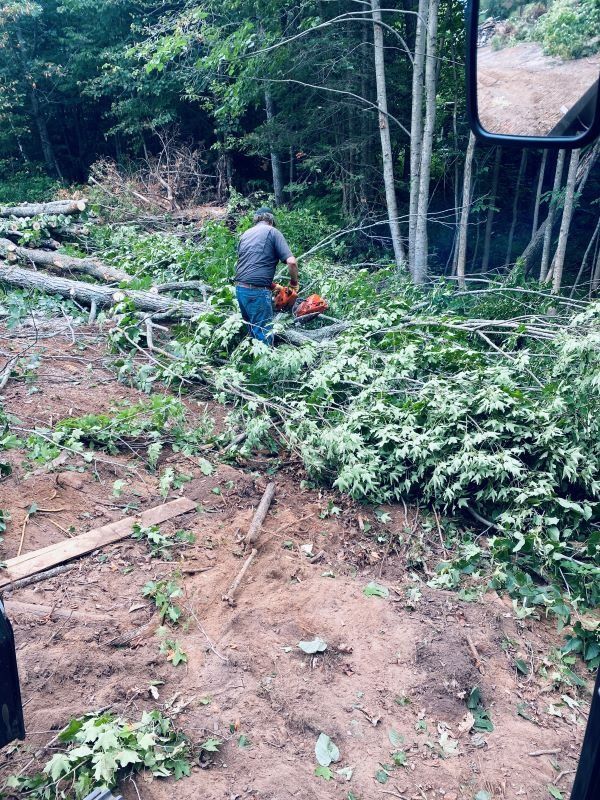 A man using a chainsaw to cut branches in a wooded area; debris and logs surround him.