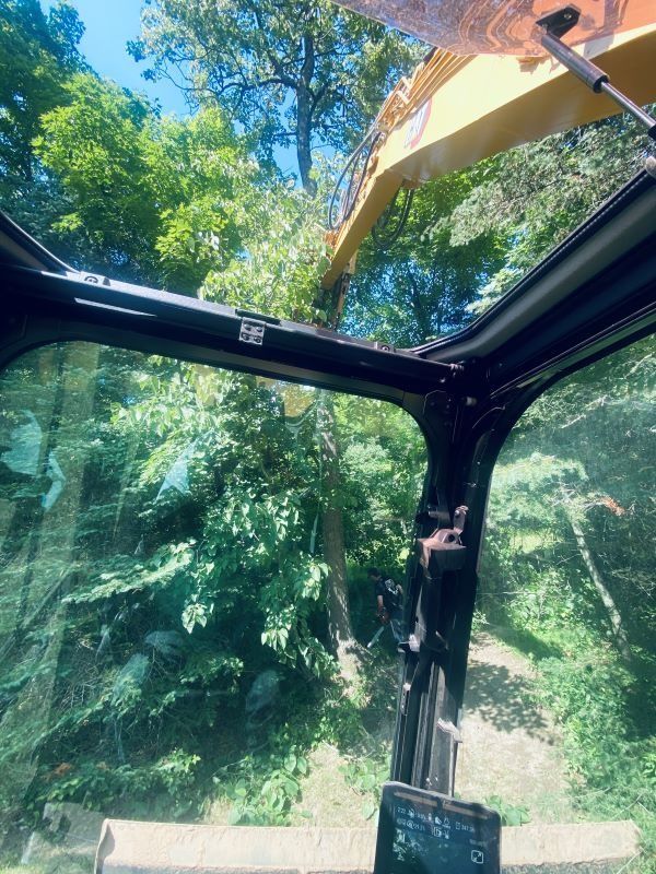View from inside a yellow excavator cab looking up at tree branches. Sunny, outdoor setting.
