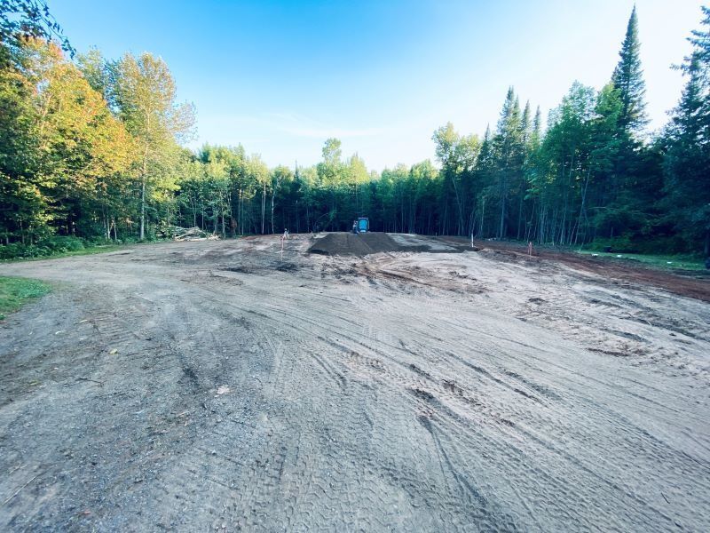 Dirt clearing in a forest with trees in the background and a bright blue sky.
