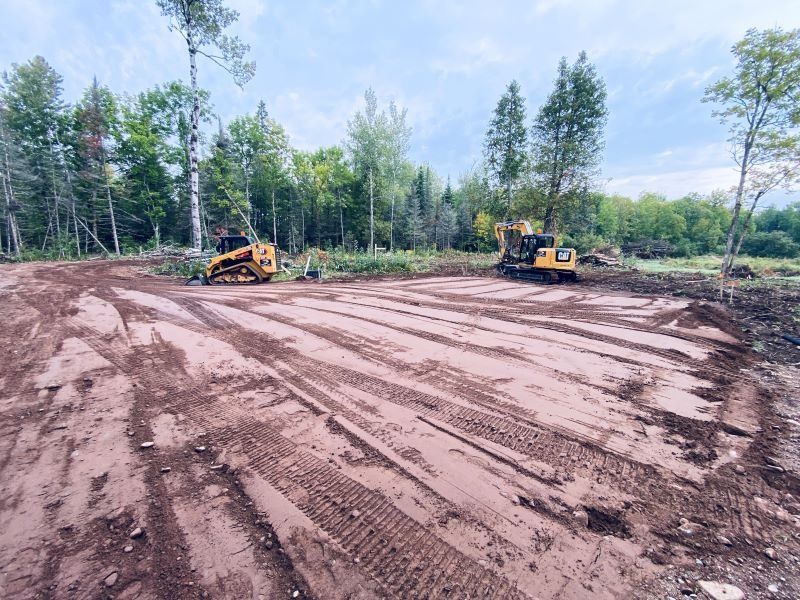 Two bulldozers clearing land in a forest, with muddy ground and trees in the background.