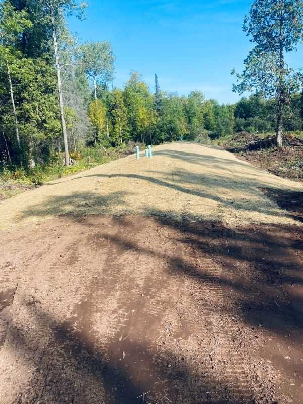Newly seeded hillside, brown dirt in foreground, green trees and blue sky in background.