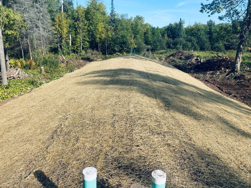 A grassy hill covered in hay, with trees and a blue sky in the background.