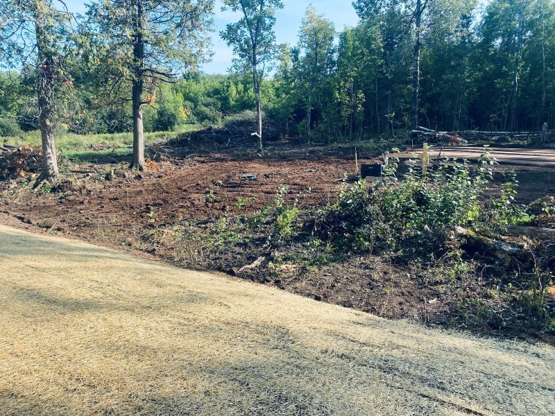 A cleared area of land with brown soil, trees, and a grassy area. Forest in the background.