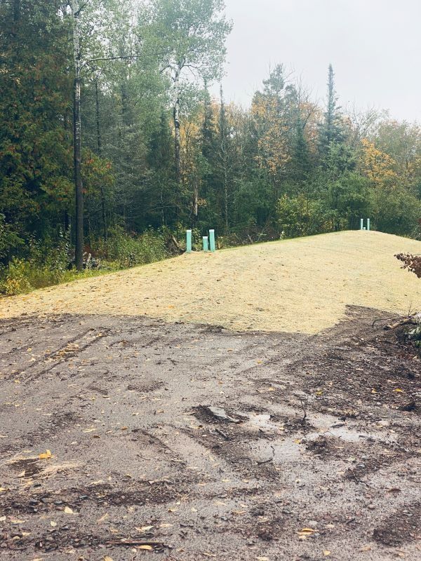 Muddy ground leads to grassy, seeded hill with green pipes, surrounded by trees.