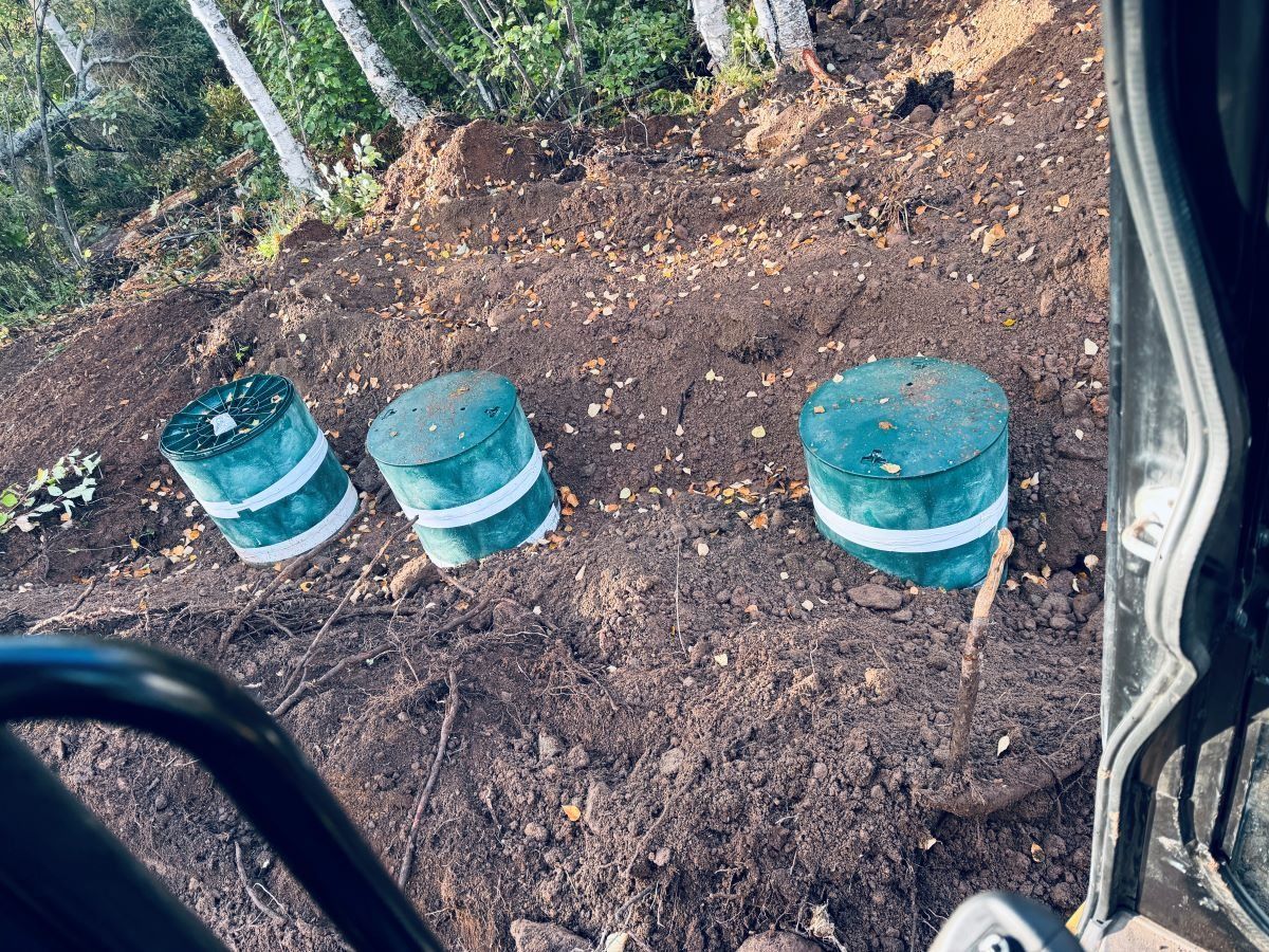 Three teal and white cylinders in dirt, possibly tree protection, near forest, seen from vehicle cab.