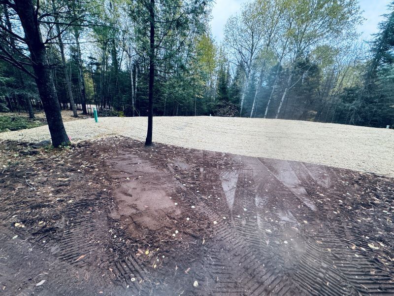 Dirt path leads to a cleared area of gravel in a forest setting.
