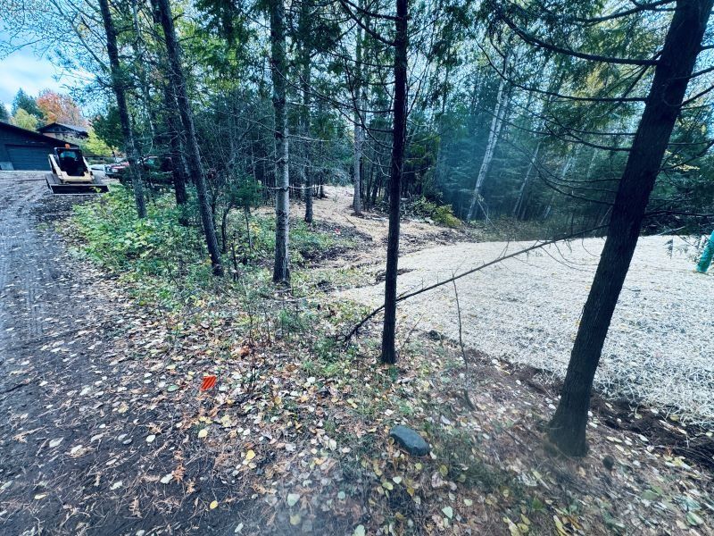 Gravel driveway in forest, with small trees and some leaves. Construction equipment visible in the background.