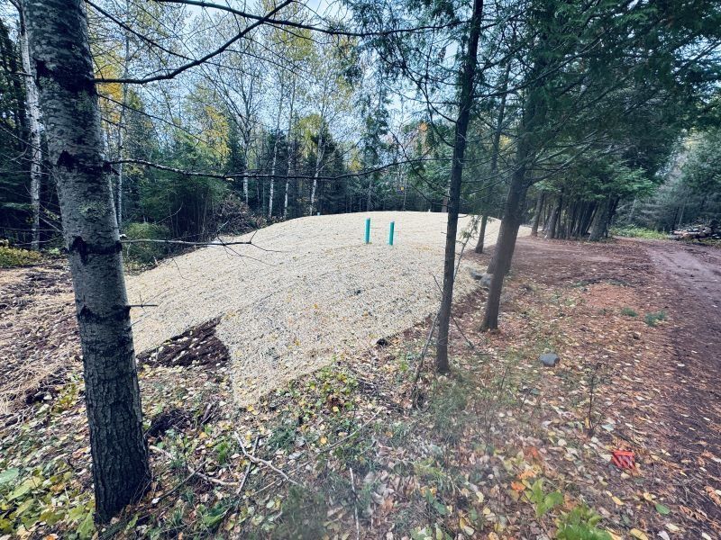 Gravel bed in a wooded area, with several green pipes rising from the surface.