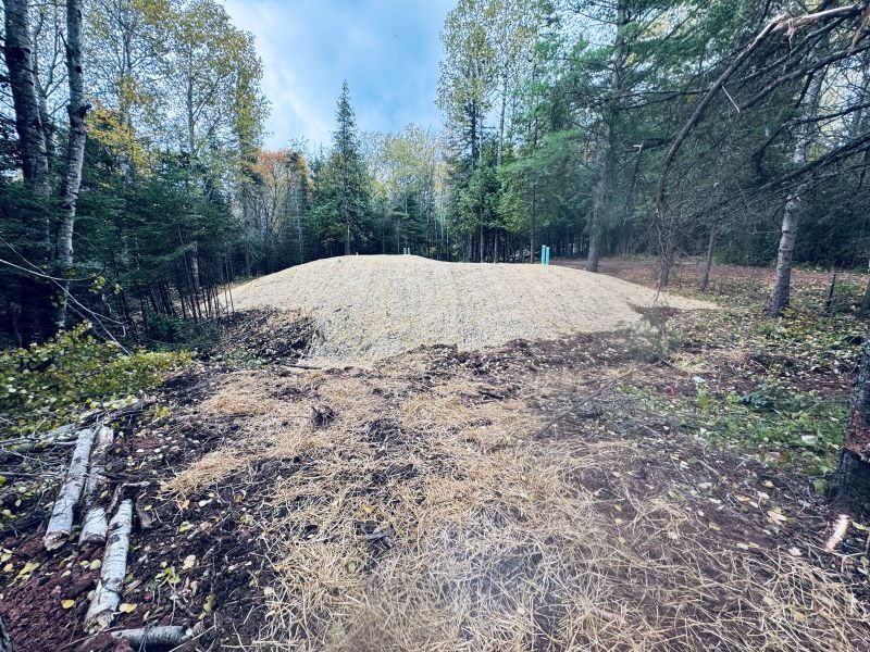 Pile of gravel in a clearing in a forest. Dried vegetation in the foreground.