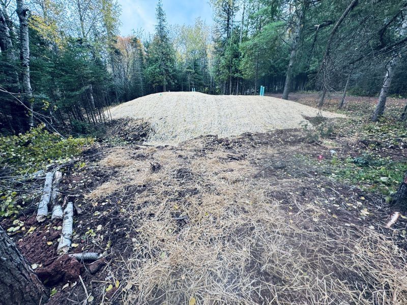 Pile of gravel and wood chips in a clearing surrounded by trees, with blue sky visible.