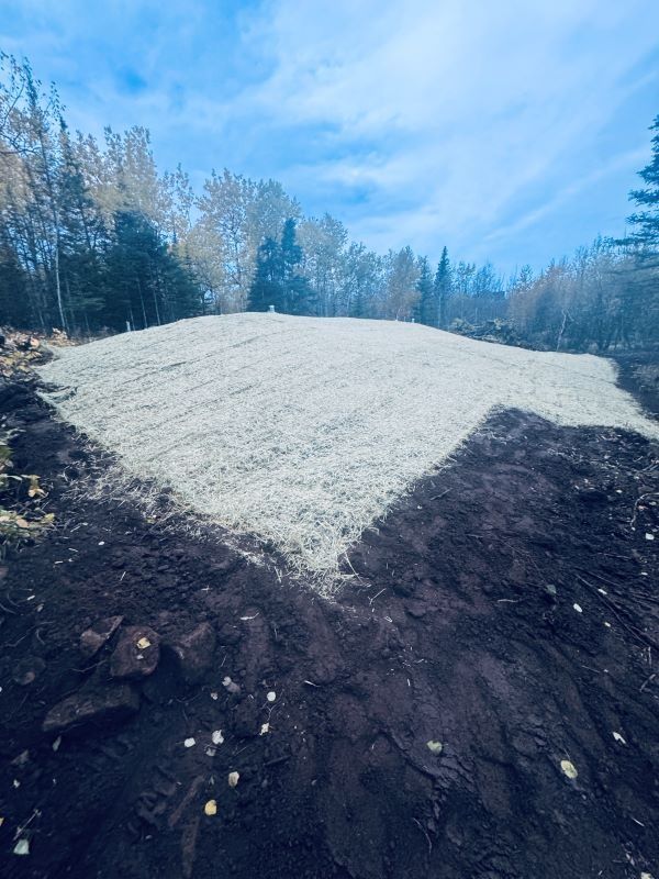 Dirt mound covered in straw, surrounded by dark soil, under a bright blue sky.