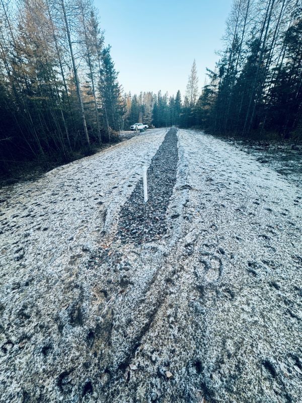 Frost-covered gravel road through a forest. A vehicle is visible in the distance.
