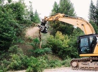 Yellow excavator with a mulching head cutting through bushes in a forest.