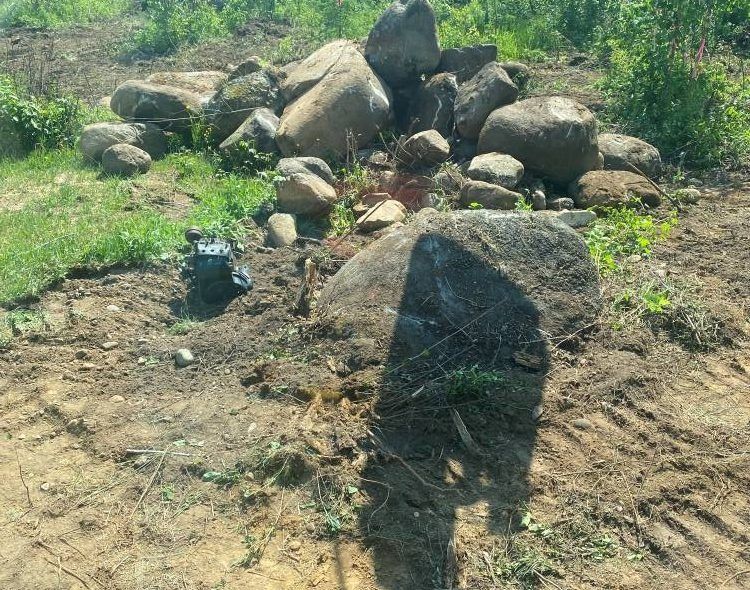 Pile of large rocks on dirt ground, surrounded by grass and greenery.