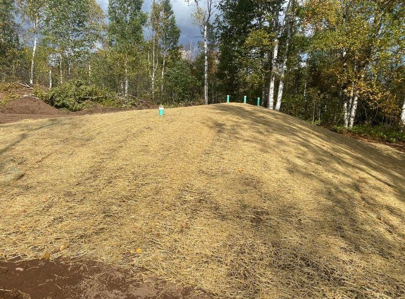 A covered hill of brown hay-like material with green stakes, in front of a forest.