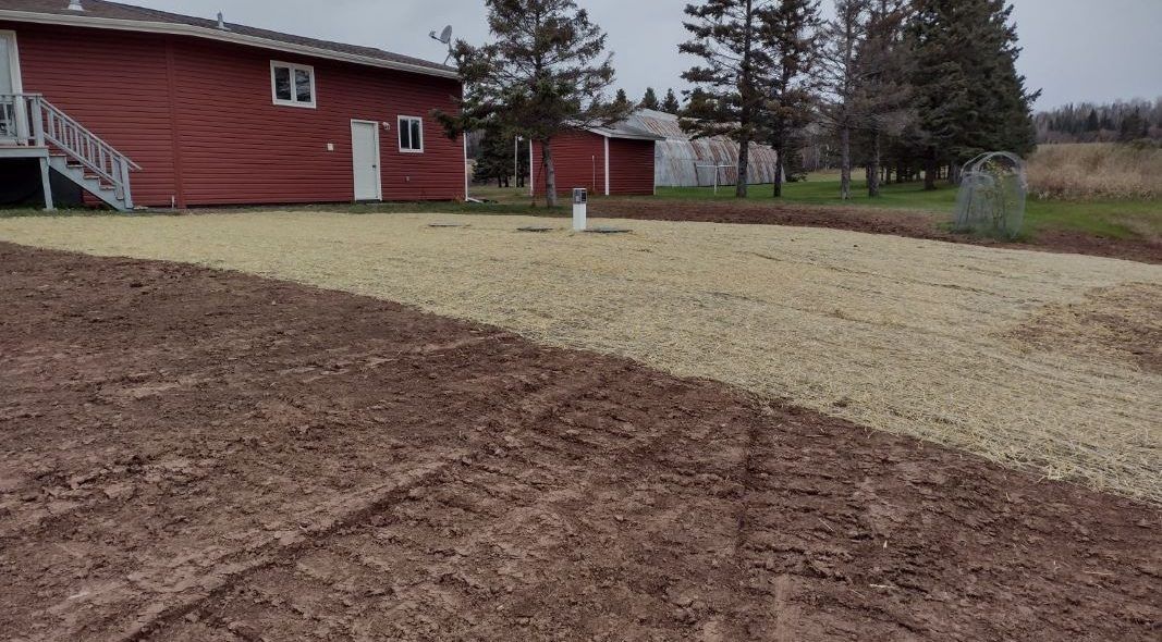 Red house with gravel and dirt yard. A shed and trees are in the background.