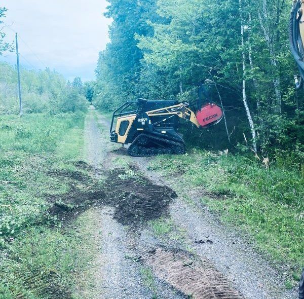 Yellow skid steer with brush cutter clearing a dirt road lined by trees.