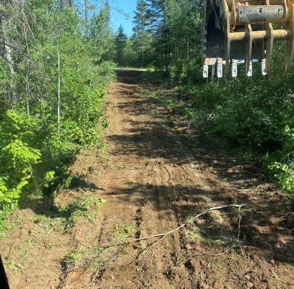 A freshly graded dirt path through a forest, with an excavator's teeth visible in the upper right.