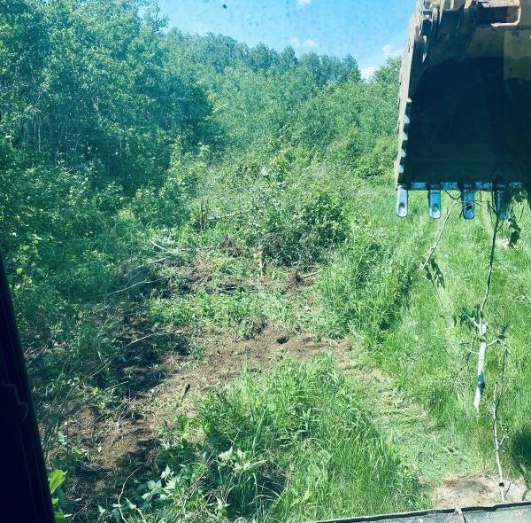 View from inside an excavator clearing brush and vegetation on a hillside.